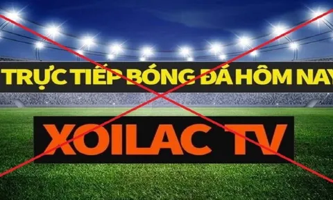 Đề nghị truy tố 74 bị can trong vụ án 'Xôi Lạc TV' xâm phạm quyền tác giả