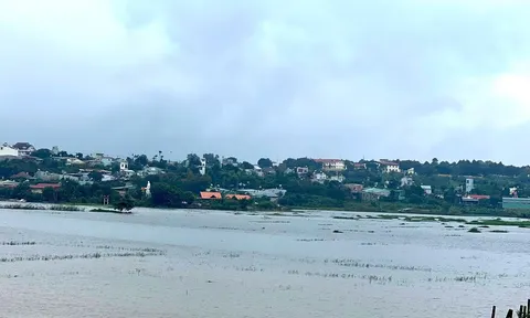 Nghĩ giữa những cơn mưa