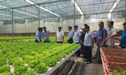 Dự kiến 18 lĩnh vực NN&MT người có chức vụ không được thành lập doanh nghiệp sau khi thôi chức