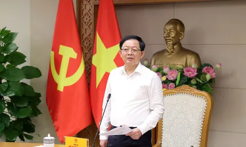 Phó Thủ tướng yêu cầu nghiên cứu thuế chống đầu cơ và xử lý tình trạng đất bỏ hoang