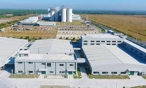Trường hợp nào đất thuê được miễn lệ phí trước bạ?