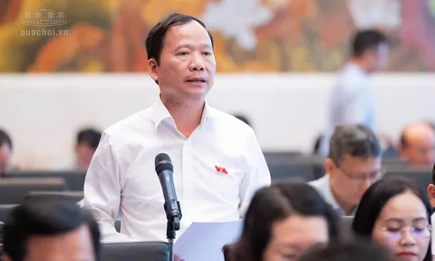 Bảo vệ quyền, lợi ích của người bị ảnh hưởng khi xảy ra sự cố an ninh dữ liệu