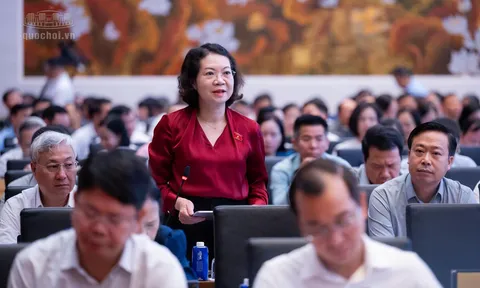 ĐBQH đề nghị đánh giá kỹ tăng mức phạt hành chính tối đa 1,5 tỷ đồng với cá nhân