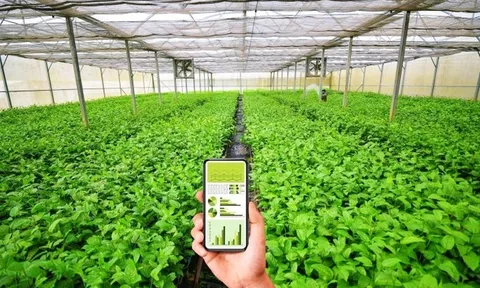 Dự kiến cơ chế sử dụng ngân sách nhà nước hỗ trợ hợp tác xã, liên hiệp hợp tác xã