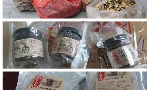 Lang vườn và bác sĩ mạng