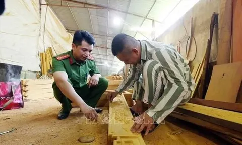 Quy trình, kỹ năng kiểm sát việc thi hành án phạt tù tại cơ sở giam giữ phạm nhân