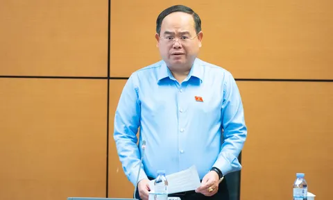 ĐBQH: "Người đã từng phạm tội hiếp dâm, giao cấu với trẻ em dưới 16 tuổi không thể cho nhận con nuôi"