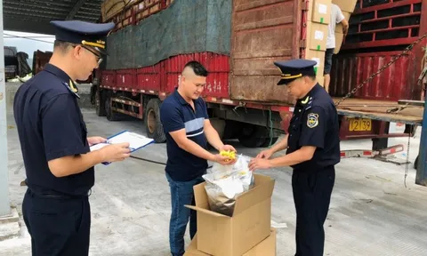 Quy định mới về thủ tục hải quan với hàng hóa mua gom của cư dân biên giới