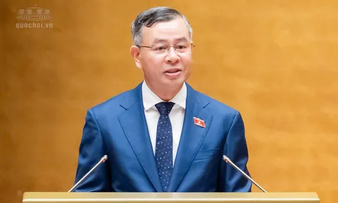 Chính phủ đề xuất thêm hành vi bị cấm, ngăn nâng khống giá gói thầu