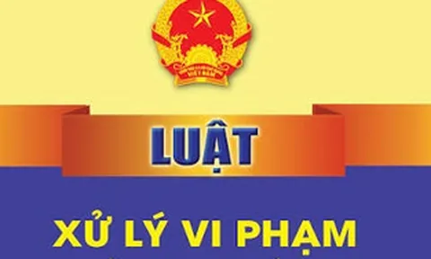 Đề xuất xử phạt vi phạm hành chính không lập biên bản đối với một số trường hợp phù hợp với yêu cầu cải cách thủ tục hành chính, chuyển đổi số