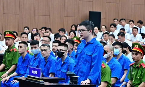"Gia đình phân tán, cốt nhục phân ly" vì tin vào đường dây của Mr Pips