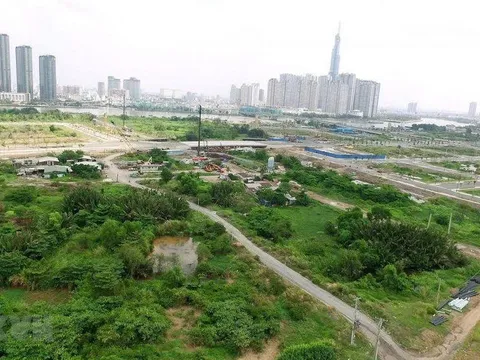 Chuyển đất trồng cây lâu năm sang đất ở có phải nộp 100% tiền sử dụng đất?