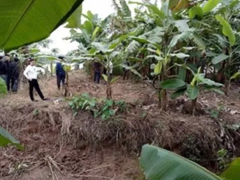 Danh tính ba thi thể trên sông ở Thái Bình?