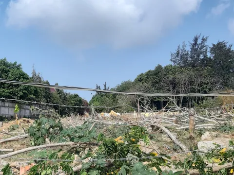 TP.Vũng Tàu: UBND phường Thắng Tam cưỡng chế di dời hay hủy hoại tài sản?