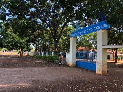 Không làm được bài tập, một học sinh tiểu học bị cô giáo đánh tím mông