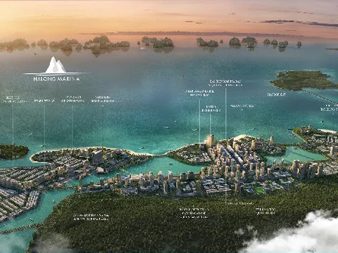 Hấp lực của thị trường bất động sản Hạ Long