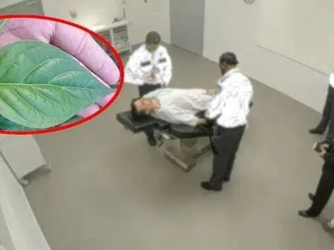 Đề xuất tử hình bằng lá ngón là đi ngược với Công ước Quốc tế