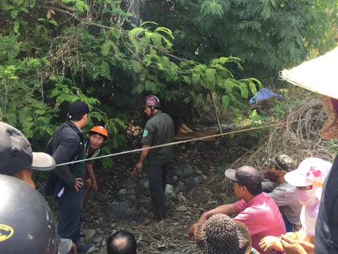 Thi thể bé trai được chú chó của gia đình tìm thấy