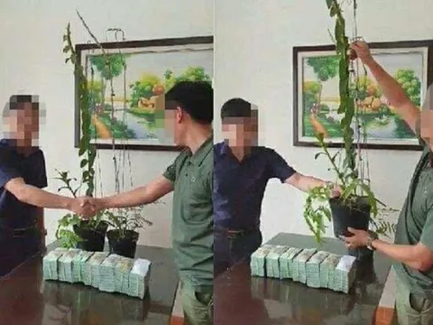 Tiết lộ thêm thông tin về  thương vụ mua bán hoa lan 3,5 tỷ