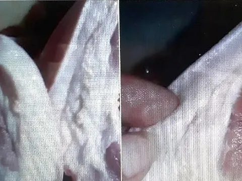 Cà Mau: Phát hiện thêm 2 vụ vận chuyển thịt lợn không được kiểm dịch