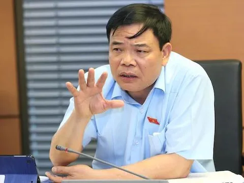 Dịch tả lợn châu Phi diễn biến phức tạp, lan tới 48 tỉnh thành, hơn 2 triệu con lợn bị tiêu huỷ