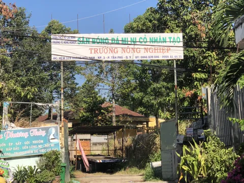 TP.HCM: Giáo viên tố hàng loạt sai phạm tại trường trung cấp KTNN?