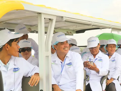 Tận mắt thấy những cô bò ở 'Resort' góp công vào ly sữa học đường