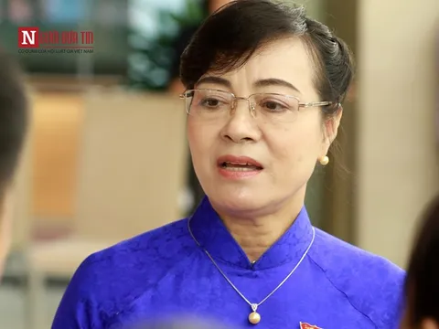 Vụ ông Đoàn Ngọc Hải xin từ chức: Ông Hải từng nhiều lần bị nhắc chuyện dẹp vỉa hè