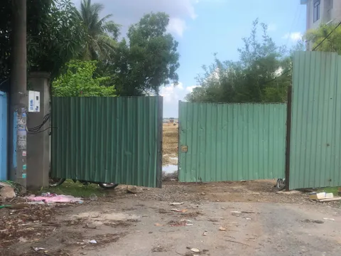 Long Điền, Bà Rịa: CĐT Yeshouse huy động vốn, bán lúa non DA 3S City?