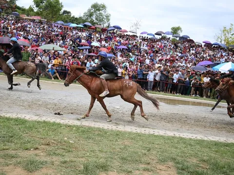Săn mây Fansipan, cưỡi ngựa Tây Bắc- combo du lịch hoàn hảo tại Sa Pa hè này