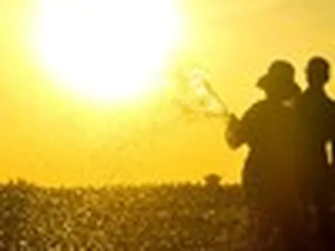 Thời tiết ngày 22/6: Bắc Bộ và Trung Bộ nắng nóng gay gắt có nơi trên 40 độ