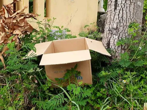 Thanh Hóa: Thi thể bé gái được phát hiện trong thùng cát tông tại nghĩa địa