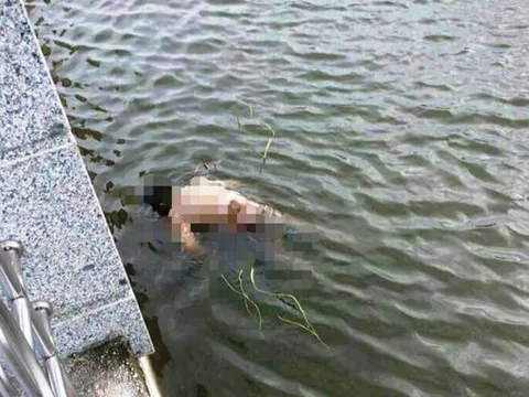 Phát hiện thi thể người phụ nữ nổi trên đầm phá sau nhiều ngày mất tích