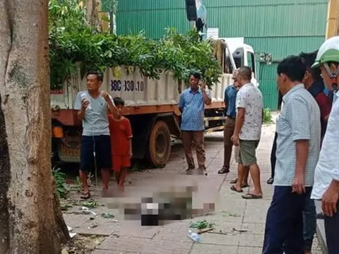 Điều tra nguyên nhân khiến một lao động rơi xuống đất tử vong trong quá trình tỉa cây