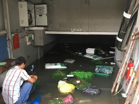 Bộ Y tế khuyến cáo người dân phòng tránh các bệnh dịch mùa mưa bão