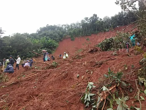 Đắk Nông: Sạt lở đất kinh hoàng, vùi lấp gia đình có 3 người