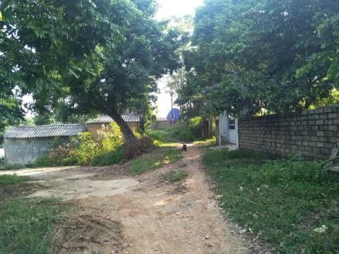 Hai chị em ruột nghi bị 2 người đàn ông thân thiết với gia đình hiếp dâm: Không nhớ bao nhiêu lần