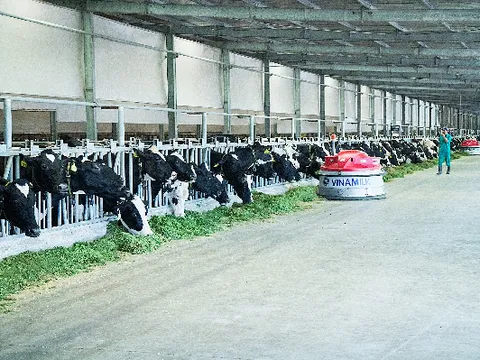 Vinamilk gia nhập 'câu lạc bộ tỷ đô' của khu vực Châu Á Thái Bình Dương