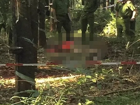 Nghi phạm sát hại thiếu nữ 16 tuổi trong rừng cao su khai nhận gì?