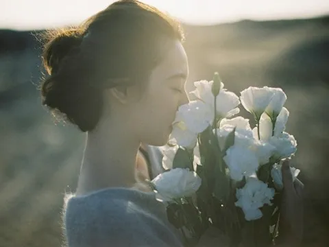 Dung thứ để lành lại những vết thương sâu