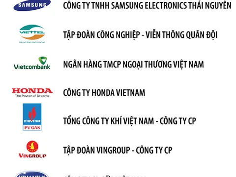 Techcombank là ngân hàng duy nhất có mặt trong top 3 doanh nghiệp tư nhân có lợi nhuận tốt nhất năm 2019