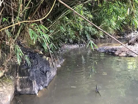 Công ty gốm sứ Thanh Hà bộc lộ nhiều sai phạm trong lĩnh vực môi trường