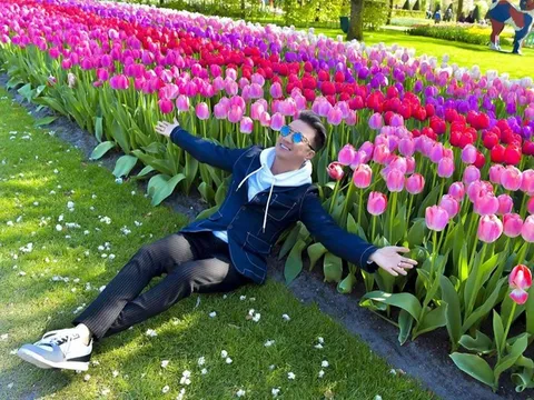 Giữa ồn ào kích động bạo lực, Đàm Vĩnh Hưng tuyên bố ngưng xuất hiện trên toàn lãnh thổ VN