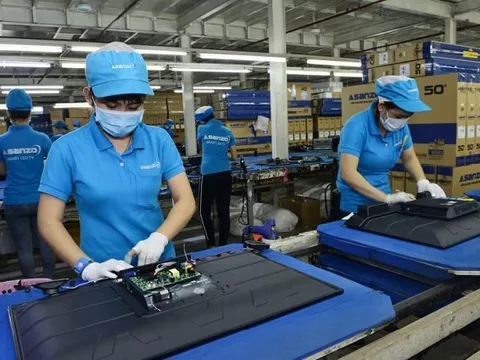 Vợ Shark Tam cùng người lao động của Asanzo rút hơn 500 tỷ tiền trốn thuế như thế nào?