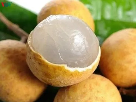 Nghệ An: Bé trai 2 tuổi tử vong do hóc hạt nhãn