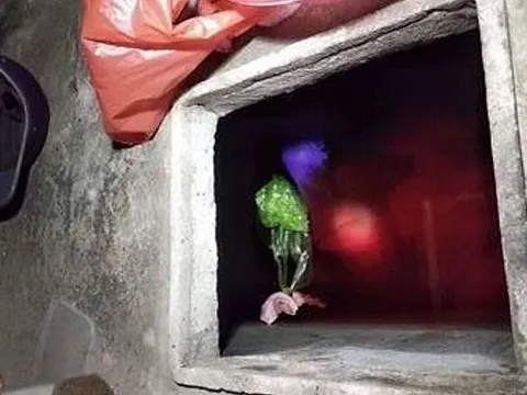 Thái Bình: Do mâu thuẫn gia đình, con rể giết mẹ vợ vứt xác vào bể nước phi tang