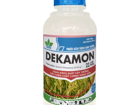 Vì sao thuốc điều hòa sinh trưởng DEKAMON 22.43SL được nhà nông tin dùng?