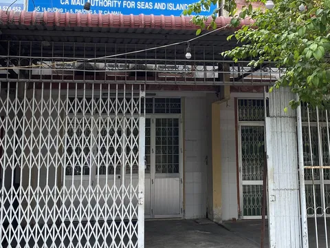 Buộc thôi việc nữ Phó phòng ở Cà Mau đi du học nước ngoài rồi không về