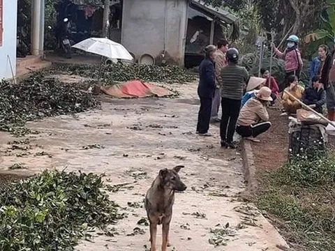 Nghi vấn nam thanh niên ngáo đá dùng dao chém 6 người chết ở Thái Nguyên