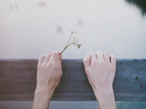 Có những nỗi đau không gọi thành lời...